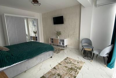 Apartament cu 4 camere decomandat în Craiovița Nouă - 5