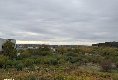 Teren de 1900 mp, în Corbeanca - 9