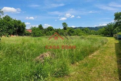 Casă cu Teren 3399 Mp în Brebu - 12