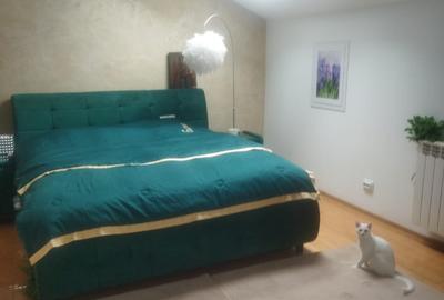 Casă individuală cu 9 camere cu Canalizare în Bucium - 3