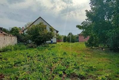 Casă cu 3 camere în Central