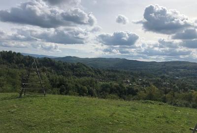 Teren de vânzare în Cicanesti - 5
