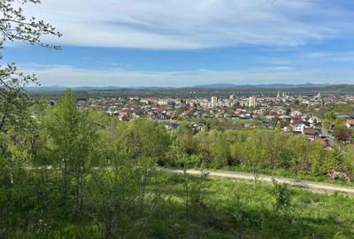Spațiu comercial, în Central - 7