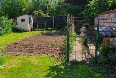 De vanzare Apartament in casa, 3 camere ,str Argesului - 9