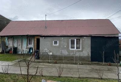 Casă cu 3 camere în Lunca Mureșului - 1