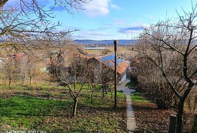 Casa superba cu 15 ari teren situata in Curteni - 14