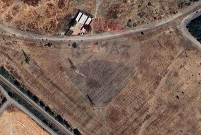 De vanzare | Teren industrial Chitila 2500 mp - 3