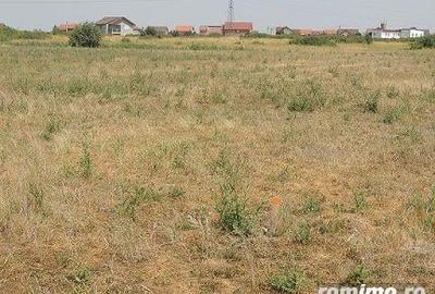 Teren de 847 mp, în Săcălaz - 3