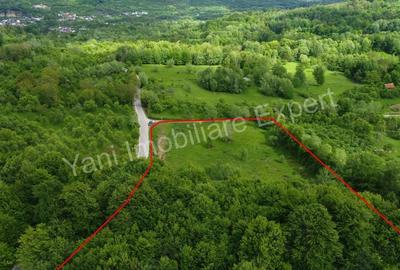 Teren de vanzare in comuna Corbi, jude? Arge?. - 14