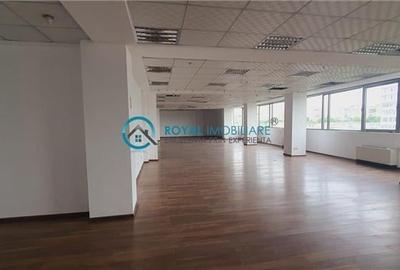 Royal Imobiliare - inchirieri spatii birouri, zona Vest - 2