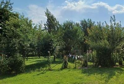 2 Case de vanzare langa liceu in Talmaciu - 10