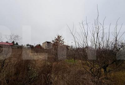 Casă cu 1 camere cu Teren 4246 Mp în Central - 2