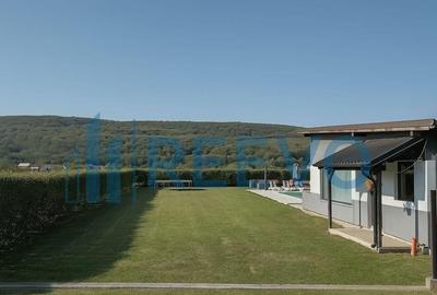 Proprietate pentru investi?ie cu Piscina in Hemeiu? - 3