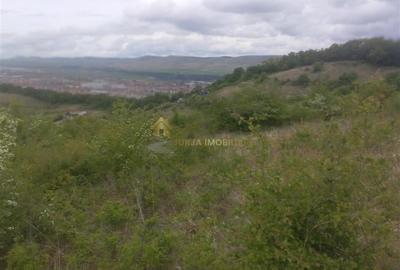 Teren extravilan 3640 mp Strada Stejarului - 8