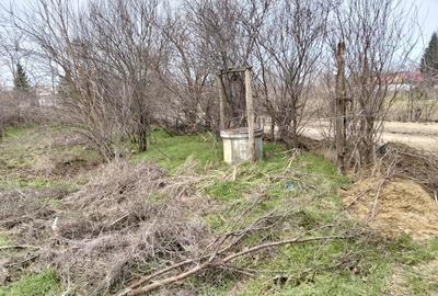 Casă cu 7 camere cu Teren 1500 Mp în Central - 4