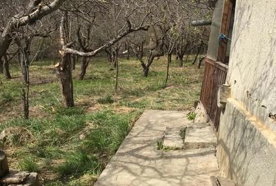 Casa de vanzare cu 3.000 mp teren OCNI?A, jud. B-N - 4