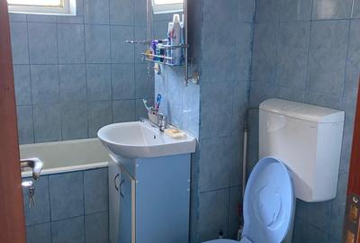 Apartament cu 2 camere decomandat în Plantelor - 8