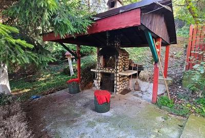 Tur LIVE!Casa cu arhitectura traditionala, curte spatioasa,foisor,Rucar-Bran - 19