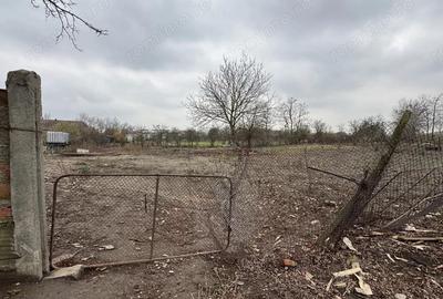 Teren Intravilan Becicherecu Mic 598mp,Utilitatile In Fata Parcelei,Asflat - 2