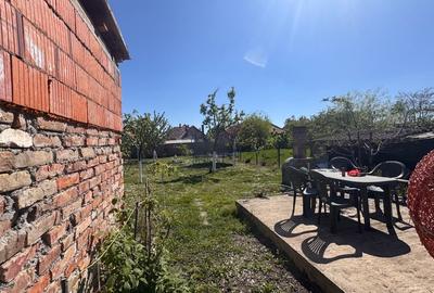 Casă individuală cu 3 camere cu Canalizare în Lovrin - 2