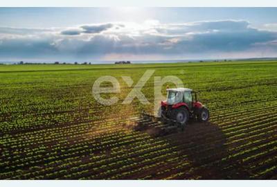Teren agricol extravilan de 23000 mp, în Mareș - 1