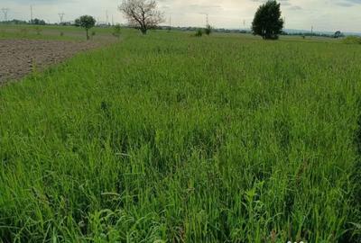 Teren de 4000 mp, în Satu Nou de Sus - 3