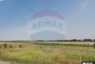 Oportunite - Gruiu Teren intravilan 4,800 mp / 100 m de A3 - 2