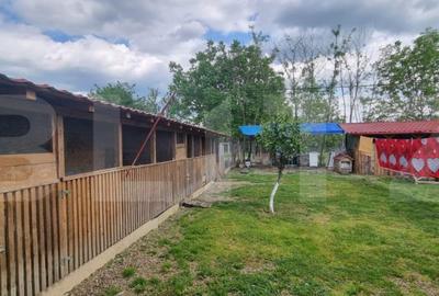 Casă cu 4 camere cu Teren 1800 Mp în Măgurele - 10