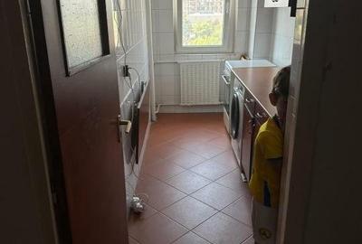 Lacul Tei langa Domino, Facultatea de Constructii, Str. Inginerilor - 6