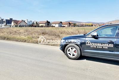 Teren 27.000 mp.deschidere la 2 drumuri ,75 euro mp. - 8
