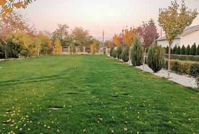 Casă cu 4 camere în Ulmi - 4