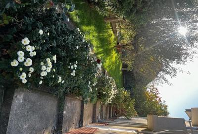 Casă cu Teren 758 Mp în Trivale - 6