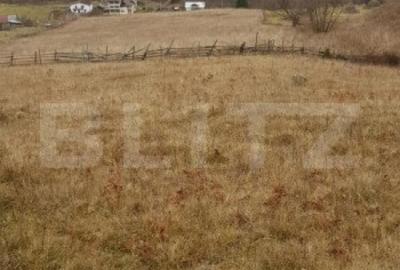 Teren de 50000 mp, în Central