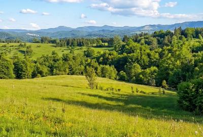 Spațiu comercial, în Central - 1