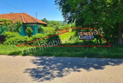 Teren de vanzare in comuna Poienarii de Arge?, sat Ceaure?ti, Jude? Arge?. - 9