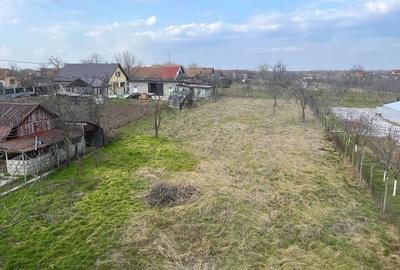 Casa individuala P1M 200mp utili, 1751mp teren, Ianova! - 3