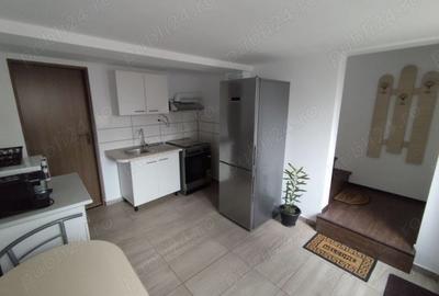 Apartament cu o camera zona Lunei - 3