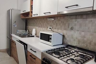 Apartament cu 2 camere decomandat în Roșu - 8