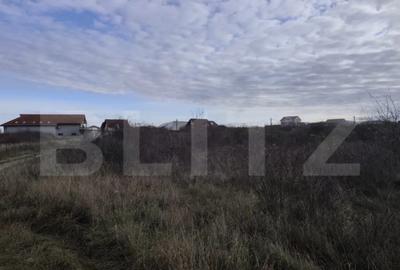 Teren de 10925 mp, în Sânmartin - 4