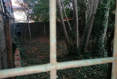 Casa Individuala zona Dambovita peste 450 Mp Teren - 15