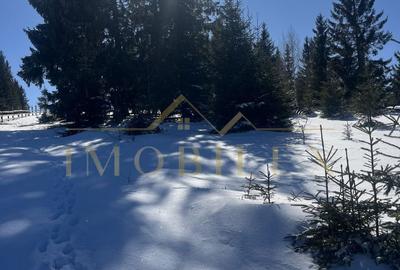 Spațiu comercial, în Măguri - 5