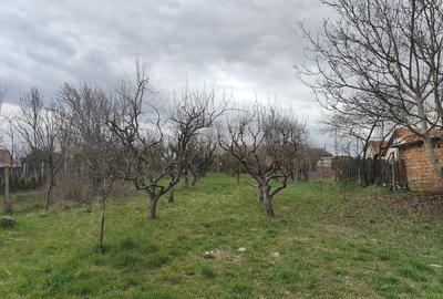 Casă cu 3 camere în Săcel - 4