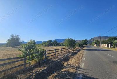 Teren de 24472 mp, în Runcu - 4