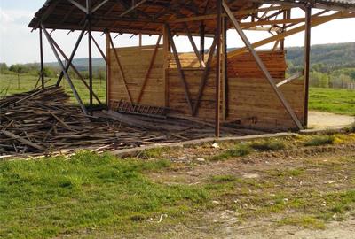 Teren de 21513 mp, în Pojogeni - 4