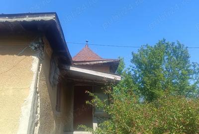 Vand casa cu anexe ?i teren 8900 mp - 1