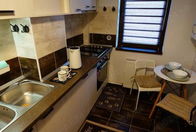 Garsoniera moderna de inchiriat in zona Salaj Confort Urban - 3