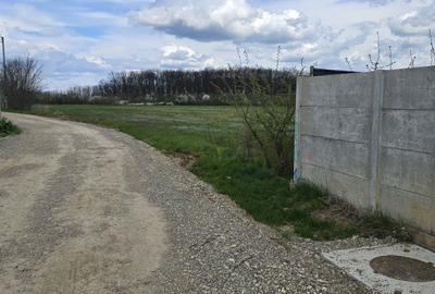 Spațiu comercial, în Ciofliceni - 6