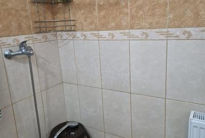 Casă cu 2 camere în Chișineu-Criș - 4