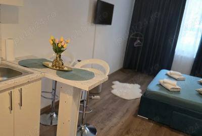 Garsoniera in spate la mall shopping city - 7