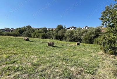 Teren în Dezmir - 3